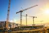 cranes resized