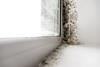 shutterstock housing mould