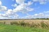 site
