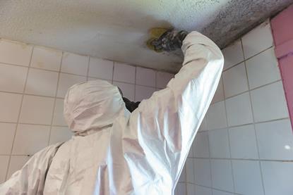 Airtech Mould Removal Jpeg