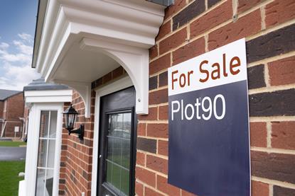 shutterstock_1560641951