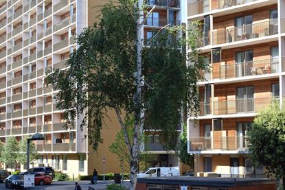 shutterstock_2633691331