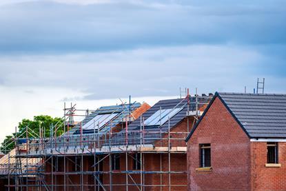 shutterstock_2483527135