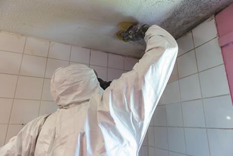 Airtech Mould Removal Jpeg