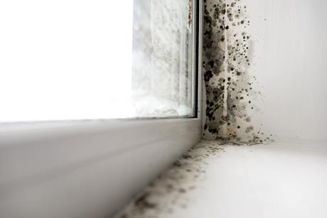 shutterstock housing mould