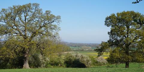 Welwyn Hatfield green field green belt