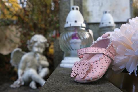 shutterstock_2384724839